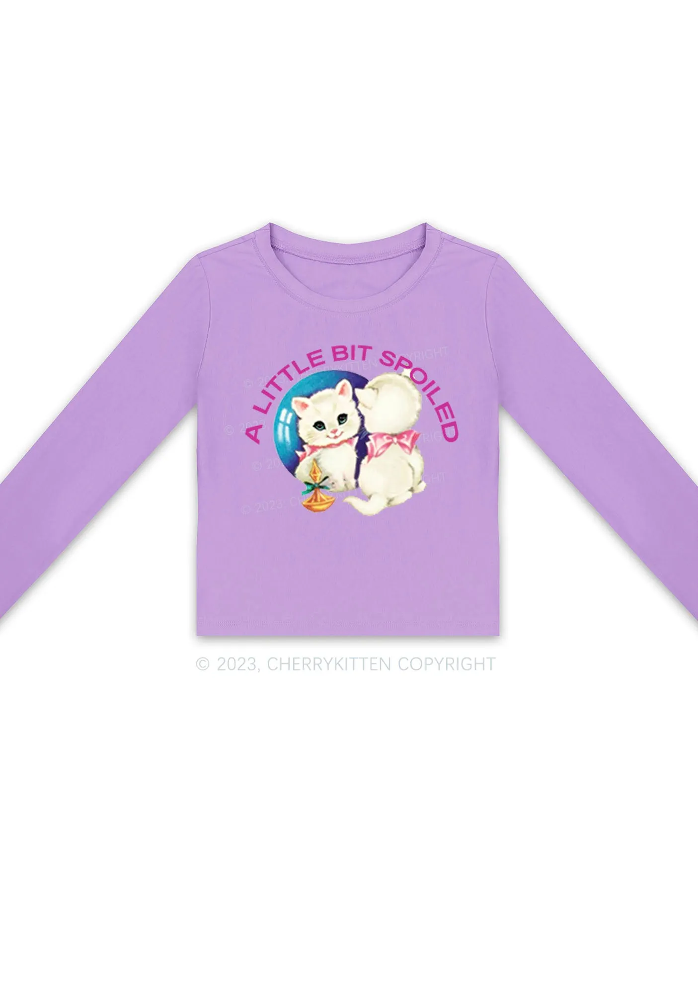 A Little Bit Spoiled Long Sleeve Crop Top Cherrykitten