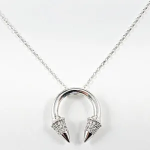 Beautiful Horseshoe CZ Silver Necklace