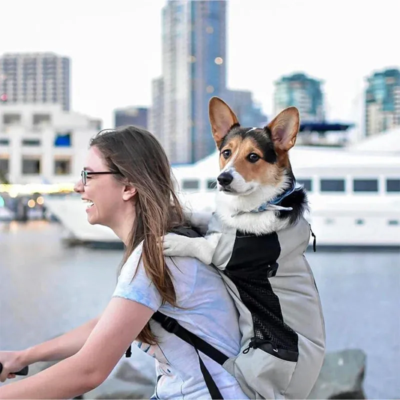 High-Quality Breathable Nylon Dog Carrier Backpack for Outdoor Activities